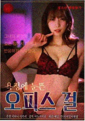 边城旧事剧集封面
